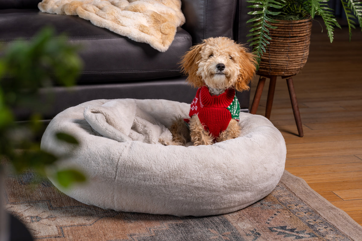 Pause for Paws Dog Bed
