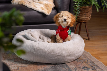 Pause for Paws Dog Bed