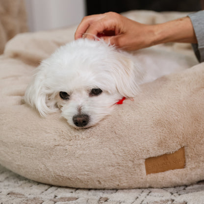 Pause for Paws Dog Bed