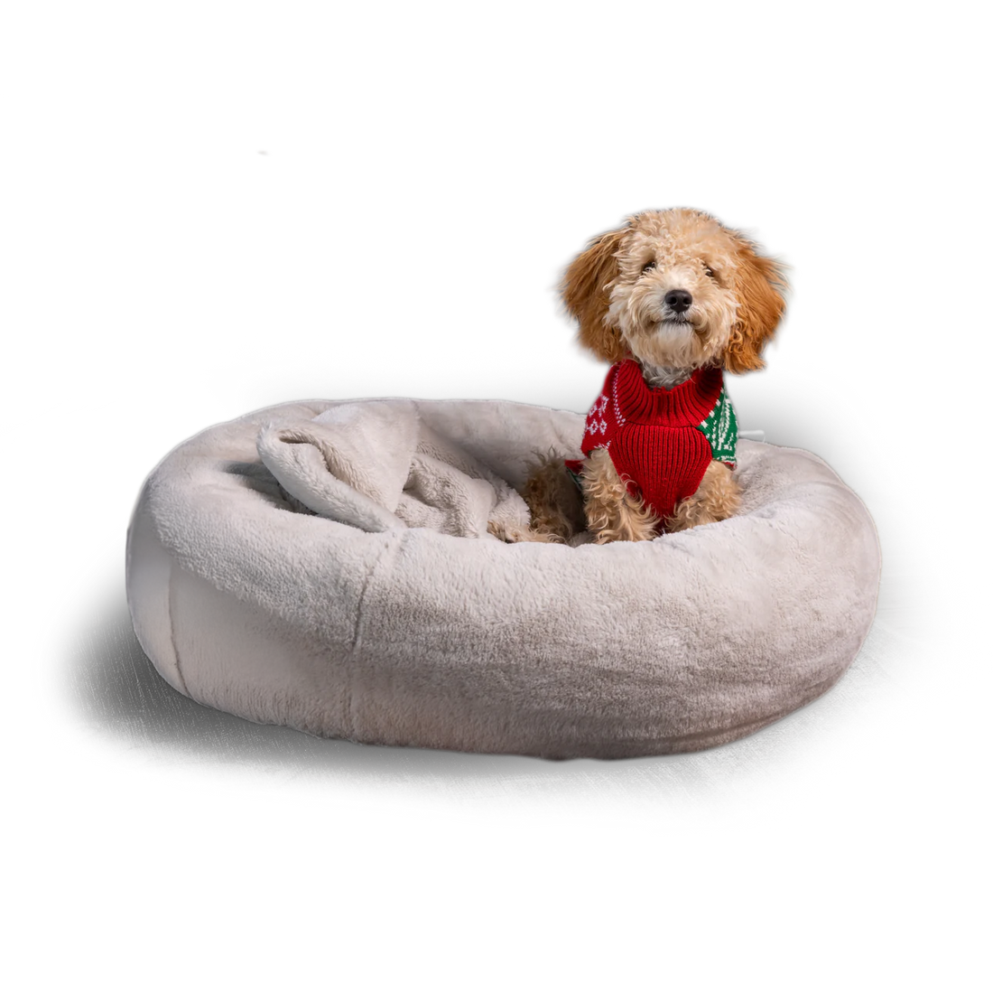 Pause for Paws Dog Bed