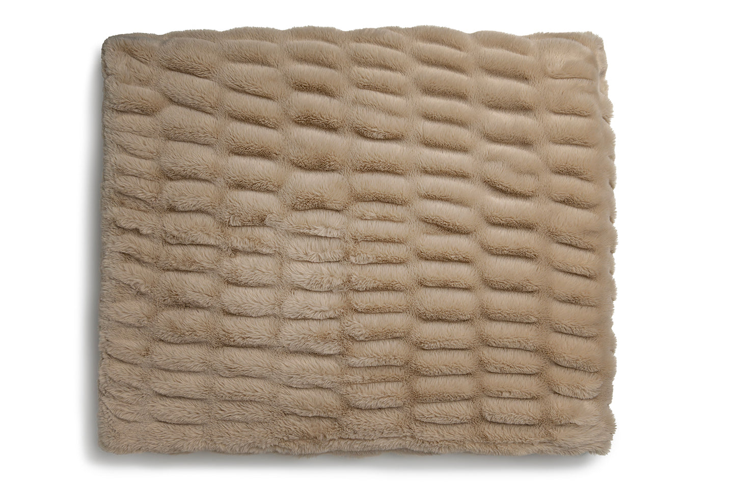 Beige Bliss