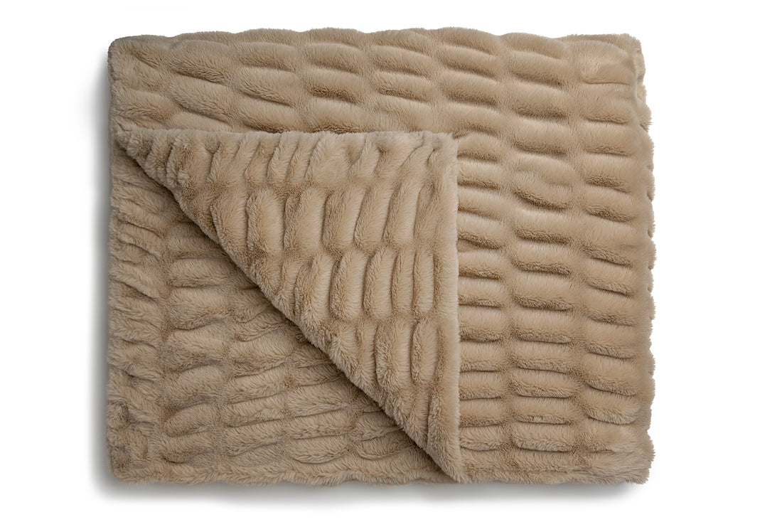 Beige Bliss