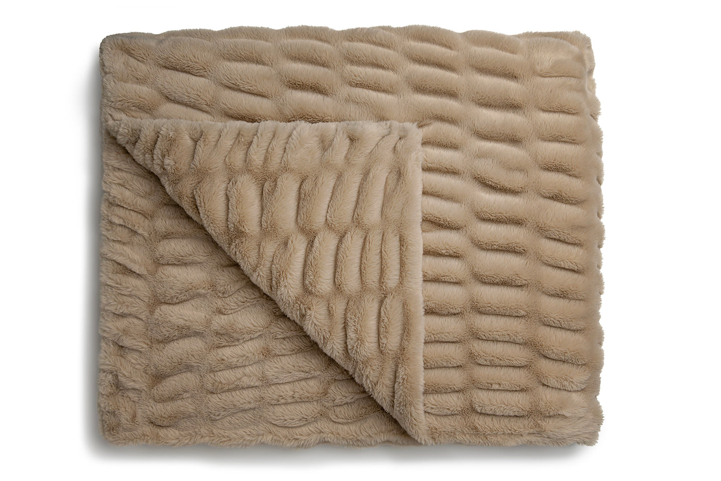 Beige Bliss
