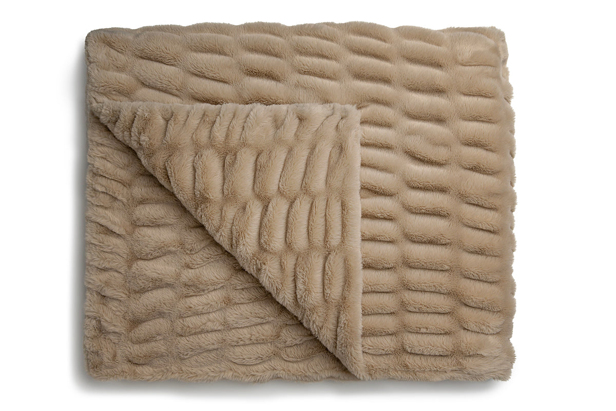Beige Bliss